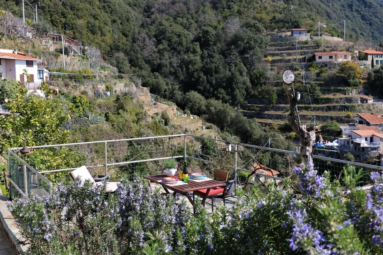 La Casetta Di Giuly A Picco Sul Mare Biassa Italy