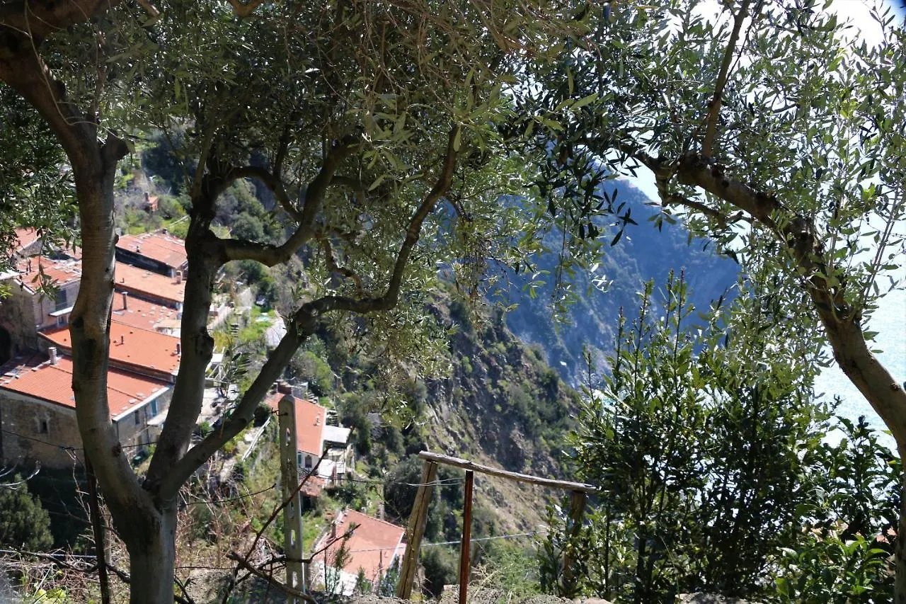 La Casetta Di Giuly A Picco Sul Mare Biassa