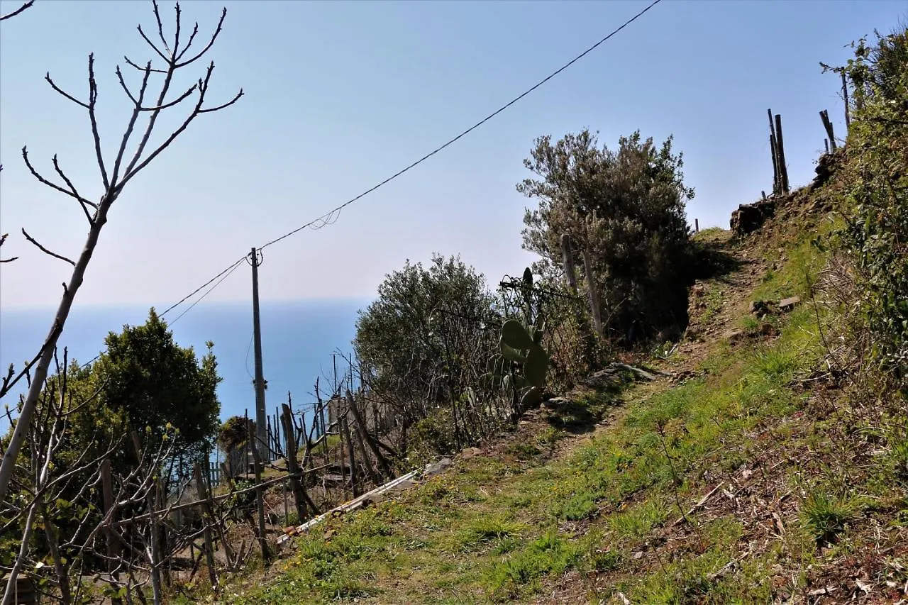 La Casetta Di Giuly A Picco Sul Mare Biassa Holiday home